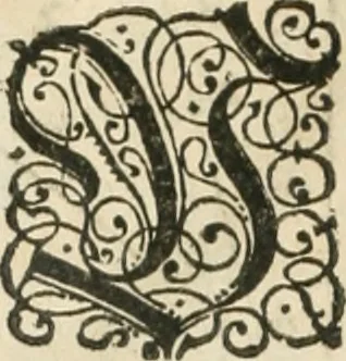 An illustration from Perspectiva; hierinnen auffs kürtzte beschrieben, mit Exempeln eröffnet vnd an Tag gegeben wird, ein newer besonder kurtzer, doch gerechter vnnd sehr leichter Weg, wie allerley Ding, es seyen Corpora, Gebew, oder was möglich zuerdencken vnd in Grund zulegen ist, verruckt oder vnuerruckt, frener in die Perspectyf gebracht werden mag, on einige vergebliche Linie, riss vñ Puncten, [et]c. dergleichen Weg bisshero noch nit bekant gewesen, 1571, leaf 47