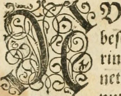 An illustration from Perspectiva; hierinnen auffs kürtzte beschrieben, mit Exempeln eröffnet vnd an Tag gegeben wird, ein newer besonder kurtzer, doch gerechter vnnd sehr leichter Weg, wie allerley Ding, es seyen Corpora, Gebew, oder was möglich zuerdencken vnd in Grund zulegen ist, verruckt oder vnuerruckt, frener in die Perspectyf gebracht werden mag, on einige vergebliche Linie, riss vñ Puncten, [et]c. dergleichen Weg bisshero noch nit bekant gewesen, 1571, leaf 59