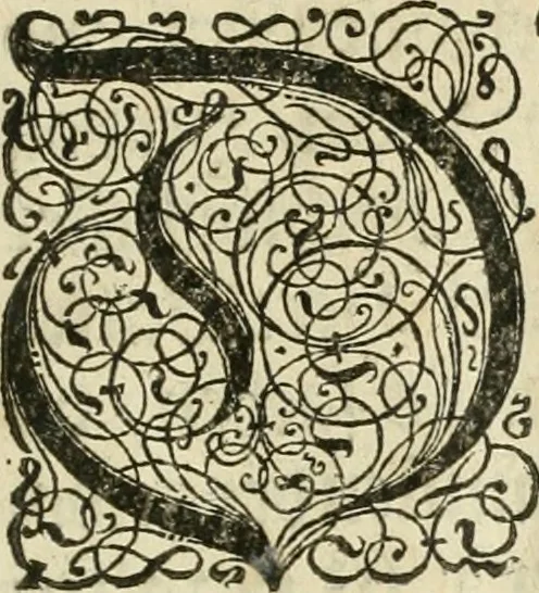 An illustration from Perspectiva; hierinnen auffs kürtzte beschrieben, mit Exempeln eröffnet vnd an Tag gegeben wird, ein newer besonder kurtzer, doch gerechter vnnd sehr leichter Weg, wie allerley Ding, es seyen Corpora, Gebew, oder was möglich zuerdencken vnd in Grund zulegen ist, verruckt oder vnuerruckt, frener in die Perspectyf gebracht werden mag, on einige vergebliche Linie, riss vñ Puncten, [et]c. dergleichen Weg bisshero noch nit bekant gewesen, 1571, leaf 6