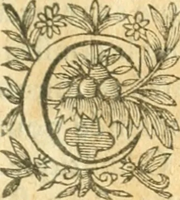 An illustration from Perspective cilindriqve et coniqve; ov, Traicte' des apparences veuës par le moyen des miroirs cilindriques & côniques, soient conuexes ou concaues; ensemble la construction & position des figures obiectées au [sic] mesmes miroirs, afin que leurs apparences soient conformes à la volonté, 1630, leaf 10