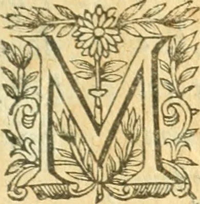 An illustration from Perspective cilindriqve et coniqve; ov, Traicte' des apparences veuës par le moyen des miroirs cilindriques & côniques, soient conuexes ou concaues; ensemble la construction & position des figures obiectées au [sic] mesmes miroirs, afin que leurs apparences soient conformes à la volonté, 1630, leaf 8