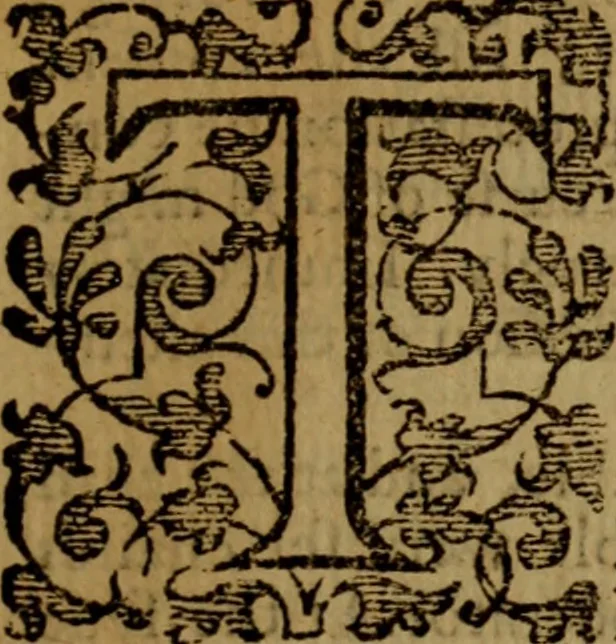 An illustration from Perth Assembly : Containing 1. The proceedings thereof. 2. The proofe of the nullitie thereof. 3. Reasons presented thereto against the receiving the five new Articles imposed. 4. The oppositenesse of it to the proceedings and oath of the whole state of the land. An. 1581. 5. Proofes of the unlawfulnesse of the said five Articles .., 1619, leaf 10