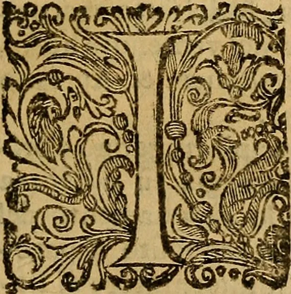 An illustration from Perugia Augusta, 1648, leaf 20