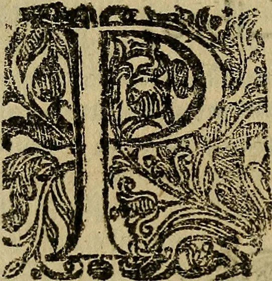 An illustration from Perugia Augusta, 1648, leaf 203
