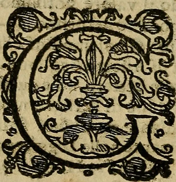 An illustration from Perugia Augusta, 1648, leaf 77