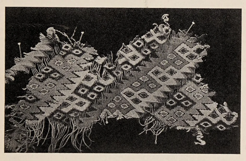 An illustration from Peruvian fabrics, 1916, leaf 25