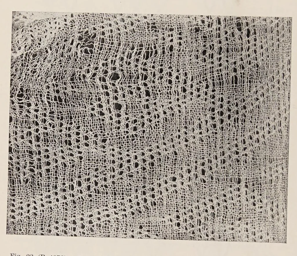 An illustration from Peruvian fabrics, 1916, leaf 48