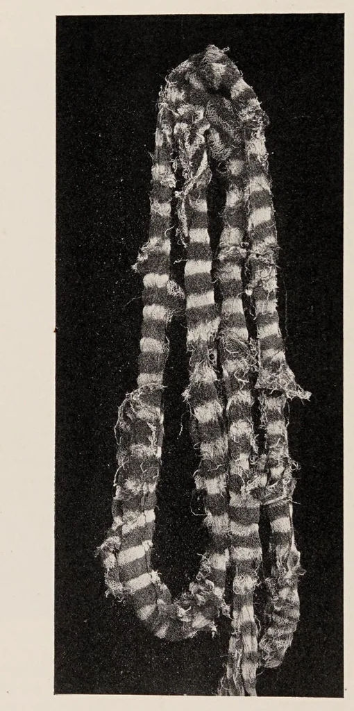 An illustration from Peruvian fabrics, 1916, leaf 60