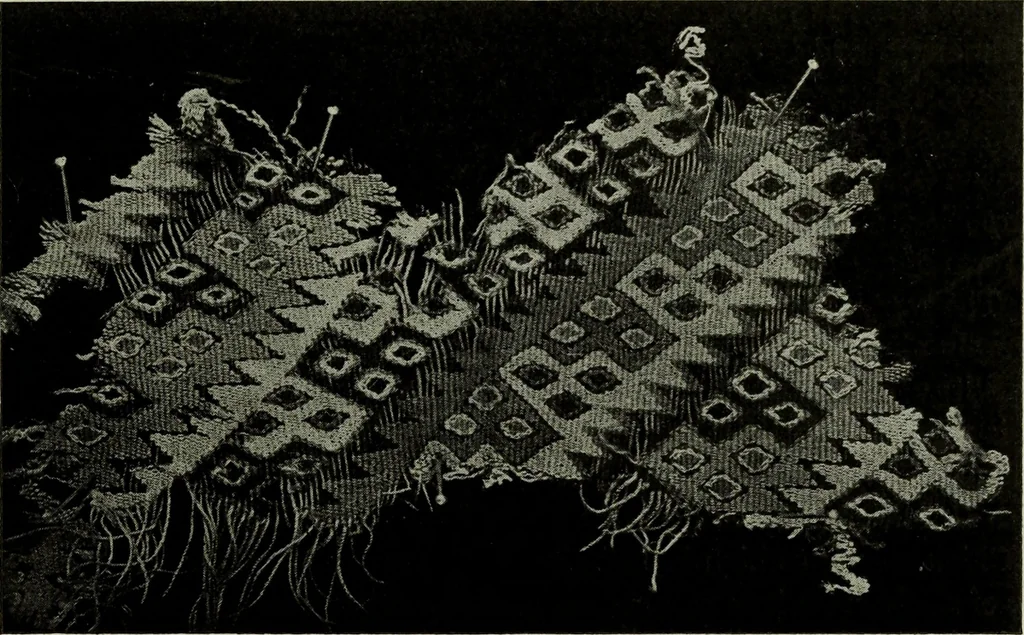 An illustration from Peruvian fabrics, 1916, leaf 22