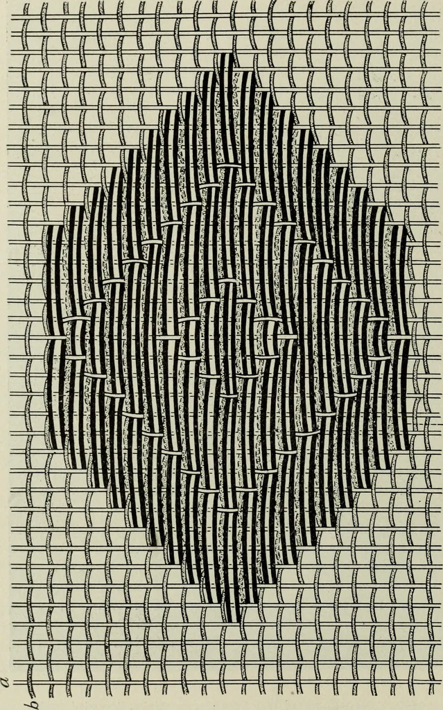An illustration from Peruvian fabrics, 1916, leaf 29