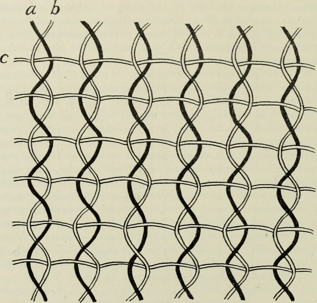 An illustration from Peruvian fabrics, 1916, leaf 43