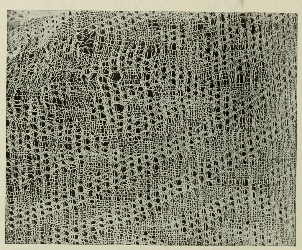 An illustration from Peruvian fabrics, 1916, leaf 45