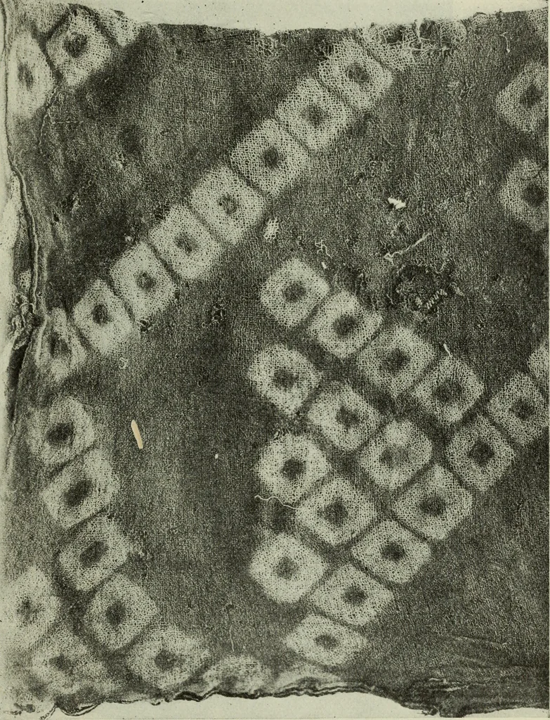 An illustration from Peruvian fabrics, 1916, leaf 56