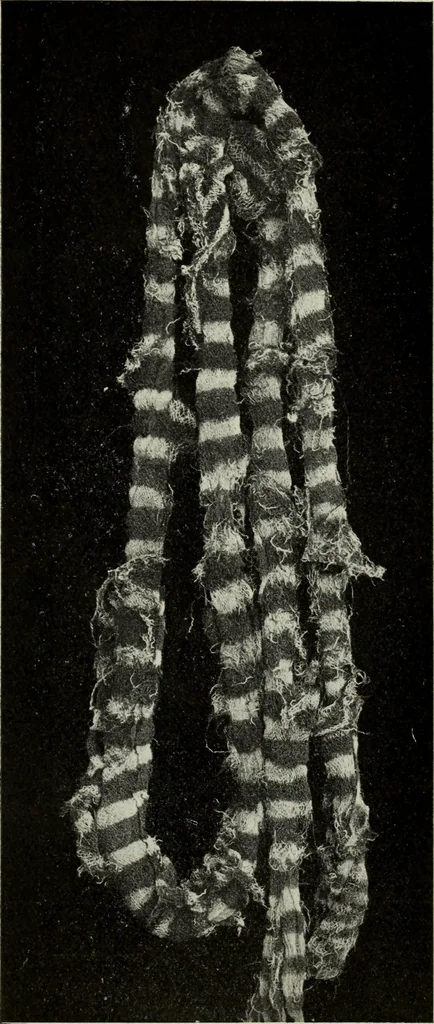 An illustration from Peruvian fabrics, 1916, leaf 57