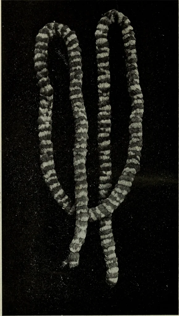 An illustration from Peruvian fabrics, 1916, leaf 61