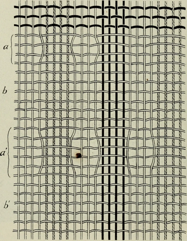 An illustration from Peruvian fabrics, 1916, leaf 69