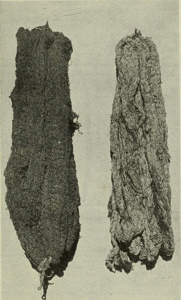 An illustration from Peruvian fabrics, 1916, leaf 76