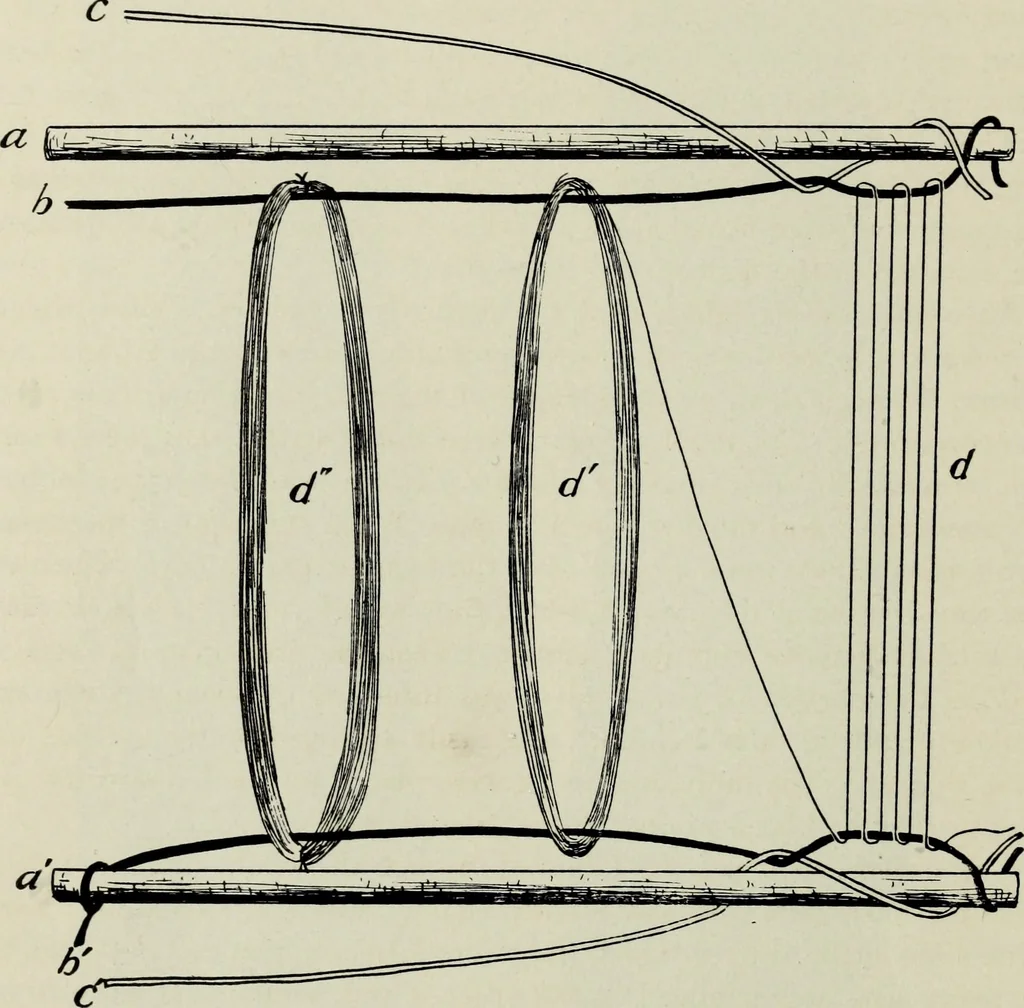 An illustration from Peruvian fabrics, 1916, leaf 77