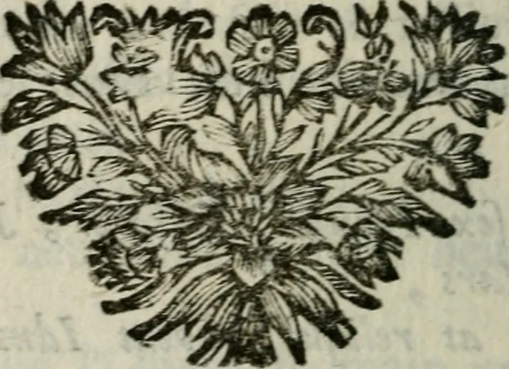 An illustration from Petit dictionnaire du tems pour l'intelligence des nouvelles de la guerre, 1747, leaf 193