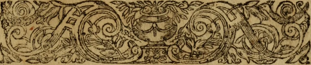 An illustration from Petit traicte et familier de la peste : contenant la description, les symptomes, & effects d'icelle, auec la methode, & remedes y requis, tant preseruatifs que curatifs, 1615, leaf 16