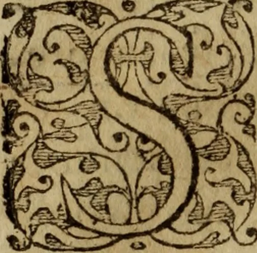An illustration from Petit traicte et familier de la peste : contenant la description, les symptomes, & effects d'icelle, auec la methode, & remedes y requis, tant preseruatifs que curatifs, 1615, leaf 19