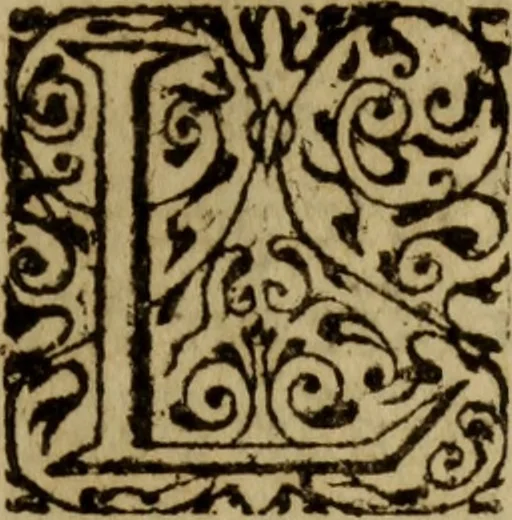 An illustration from Petit traicte et familier de la peste : contenant la description, les symptomes, & effects d'icelle, auec la methode, & remedes y requis, tant preseruatifs que curatifs, 1615, leaf 28