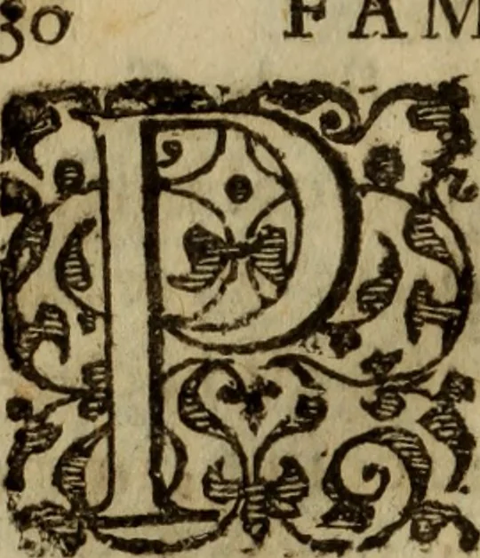 An illustration from Petit traicte et familier de la peste : contenant la description, les symptomes, & effects d'icelle, auec la methode, & remedes y requis, tant preseruatifs que curatifs, 1615, leaf 45