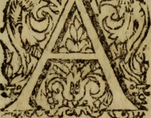 An illustration from Petit traicte et familier de la peste : contenant la description, les symptomes, & effects d'icelle, auec la methode, & remedes y requis, tant preseruatifs que curatifs, 1615, leaf 68
