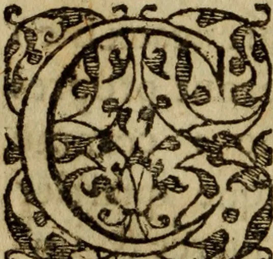 An illustration from Petit traicte et familier de la peste : contenant la description, les symptomes, & effects d'icelle, auec la methode, & remedes y requis, tant preseruatifs que curatifs, 1615, leaf 77