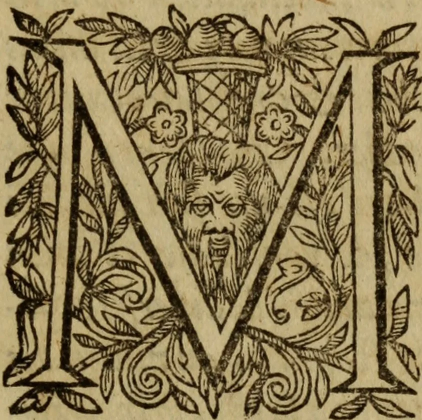 An illustration from Petit traicte et familier de la peste : contenant la description, les symptomes, & effects d'icelle, auec la methode, & remedes y requis, tant preseruatifs que curatifs, 1615, leaf 8
