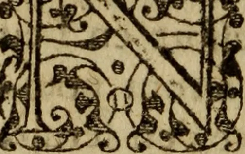 An illustration from Petit traicte et familier de la peste : contenant la description, les symptomes, & effects d'icelle, auec la methode, & remedes y requis, tant preseruatifs que curatifs, 1615, leaf 81