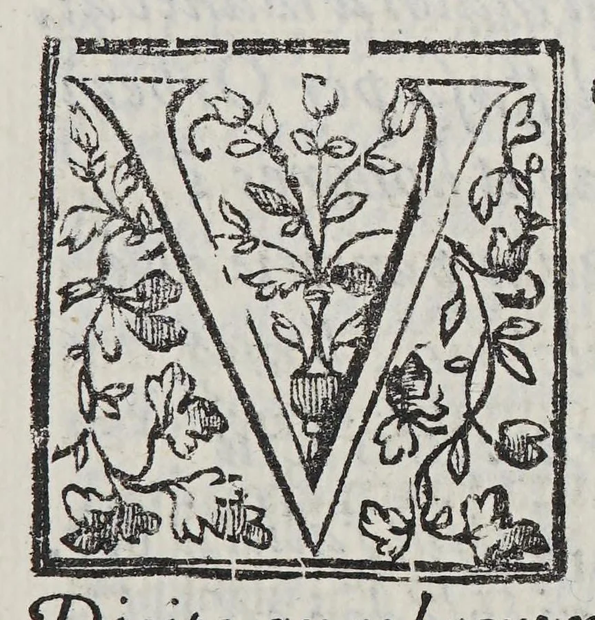 An illustration from Pet. Pauli Thomaelli Vtinensis Eclogae duae. : Quarum altera inscribitur meduacus o thrinon altera meduacus o iroton, 1595, leaf 11