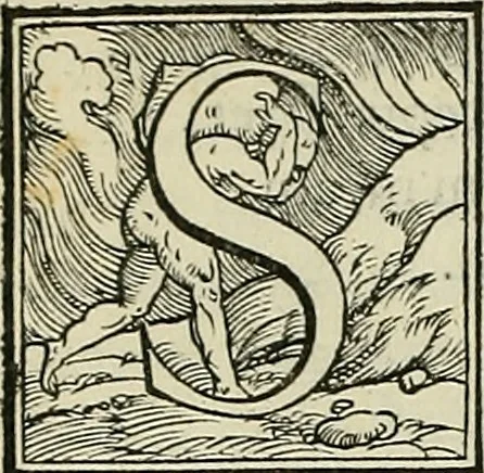 An illustration from Petri Andreae Matthioli Senensis serenissimi Principis Ferdinandi Archiducis Austriae & c., Medici, Commentarii secundo aucti : in libros sex Pedacii Dioscoridis Anazarbei de medica materia. Adiectis quàm plurimis plantarum, & animalium imaginibus quae in priore editione non habentur, eodem authore : his accessit eiusdem apologia adversus Amathum Lusitanum cum censura in eiusdem enarrationes, 1558, leaf 17