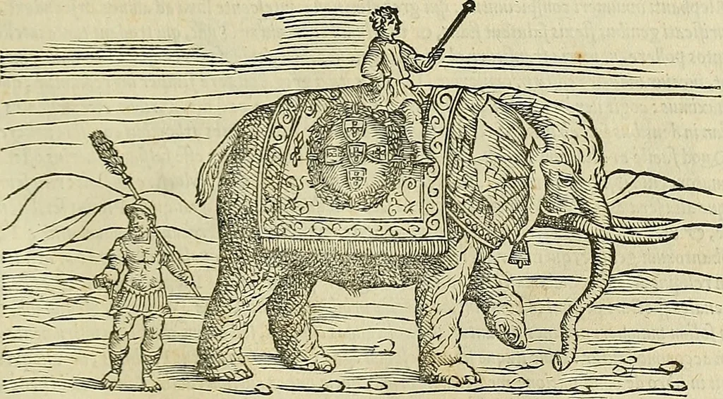 An illustration from Petri Andreae Matthioli Senensis serenissimi Principis Ferdinandi Archiducis Austriae & c., Medici, Commentarii secundo aucti : in libros sex Pedacii Dioscoridis Anazarbei de medica materia. Adiectis quàm plurimis plantarum, & animalium imaginibus quae in priore editione non habentur, eodem authore : his accessit eiusdem apologia adversus Amathum Lusitanum cum censura in eiusdem enarrationes, 1558, leaf 318