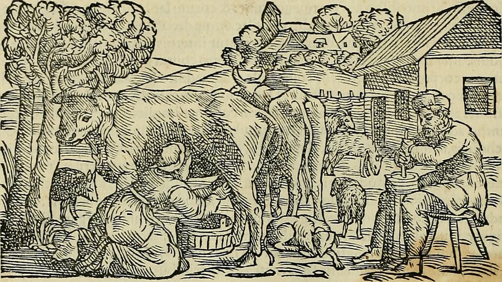 An illustration from Petri Andreae Matthioli Senensis serenissimi Principis Ferdinandi Archiducis Austriae & c., Medici, Commentarii secundo aucti : in libros sex Pedacii Dioscoridis Anazarbei de medica materia. Adiectis quàm plurimis plantarum, & animalium imaginibus quae in priore editione non habentur, eodem authore : his accessit eiusdem apologia adversus Amathum Lusitanum cum censura in eiusdem enarrationes, 1558, leaf 333