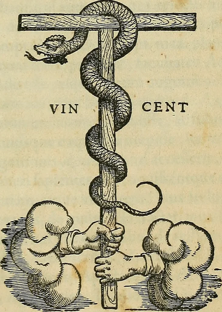 An illustration from Petri Andreae Matthioli Senensis serenissimi Principis Ferdinandi Archiducis Austriae & c., Medici, Commentarii secundo aucti : in libros sex Pedacii Dioscoridis Anazarbei de medica materia. Adiectis quàm plurimis plantarum, & animalium imaginibus quae in priore editione non habentur, eodem authore : his accessit eiusdem apologia adversus Amathum Lusitanum cum censura in eiusdem enarrationes, 1558, leaf 4