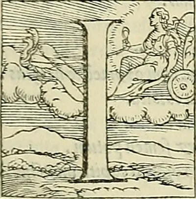 An illustration from Petri Andreae Matthioli Senensis serenissimi Principis Ferdinandi Archiducis Austriae & c., Medici, Commentarii secundo aucti : in libros sex Pedacii Dioscoridis Anazarbei de medica materia. Adiectis quàm plurimis plantarum, & animalium imaginibus quae in priore editione non habentur, eodem authore : his accessit eiusdem apologia adversus Amathum Lusitanum cum censura in eiusdem enarrationes, 1558, leaf 56