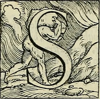 An illustration from Petri Andreae Matthioli Senensis serenissimi Principis Ferdinandi Archiducis Austriae & c., Medici, Commentarii secundo aucti : in libros sex Pedacii Dioscoridis Anazarbei de medica materia. Adiectis quàm plurimis plantarum, & animalium imaginibus quae in priore editione non habentur, eodem authore : his accessit eiusdem apologia adversus Amathum Lusitanum cum censura in eiusdem enarrationes, 1558, leaf 813