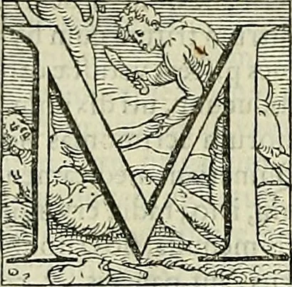 An illustration from Petri Andreae Matthioli Senensis serenissimi Principis Ferdinandi Archiducis Austriae & c., Medici, Commentarii secundo aucti : in libros sex Pedacii Dioscoridis Anazarbei de medica materia. Adiectis quàm plurimis plantarum, & animalium imaginibus quae in priore editione non habentur, eodem authore : his accessit eiusdem apologia adversus Amathum Lusitanum cum censura in eiusdem enarrationes, 1558, leaf 815