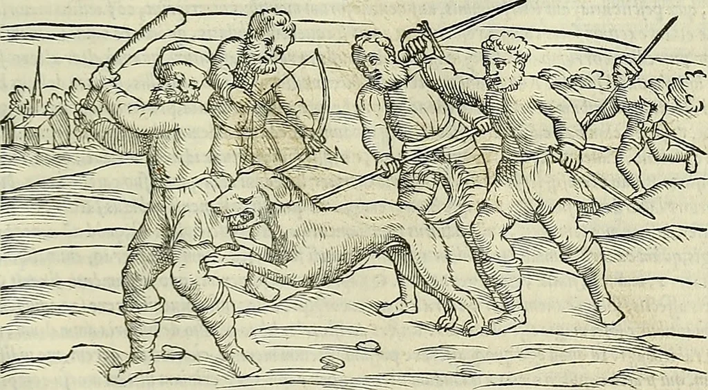 An illustration from Petri Andreae Matthioli Senensis serenissimi Principis Ferdinandi Archiducis Austriae & c., Medici, Commentarii secundo aucti : in libros sex Pedacii Dioscoridis Anazarbei de medica materia. Adiectis quàm plurimis plantarum, & animalium imaginibus quae in priore editione non habentur, eodem authore : his accessit eiusdem apologia adversus Amathum Lusitanum cum censura in eiusdem enarrationes, 1558, leaf 856