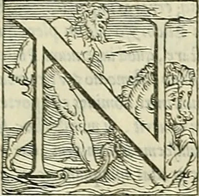 An illustration from Petri Andreae Matthioli Senensis serenissimi Principis Ferdinandi Archiducis Austriae & c., Medici, Commentarii secundo aucti : in libros sex Pedacii Dioscoridis Anazarbei de medica materia. Adiectis quàm plurimis plantarum, & animalium imaginibus quae in priore editione non habentur, eodem authore : his accessit eiusdem apologia adversus Amathum Lusitanum cum censura in eiusdem enarrationes, 1558, leaf 882