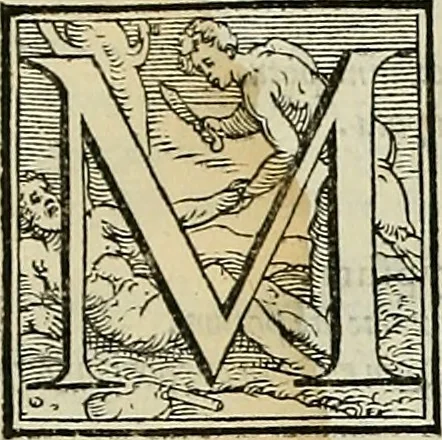 An illustration from Petri Andreae Matthioli Senensis serenissimi Principis Ferdinandi Archiducis Austriae & c., Medici, Commentarii secundo aucti : in libros sex Pedacii Dioscoridis Anazarbei de medica materia. Adiectis quàm plurimis plantarum, & animalium imaginibus quae in priore editione non habentur, eodem authore : his accessit eiusdem apologia adversus Amathum Lusitanum cum censura in eiusdem enarrationes, 1558, leaf 97