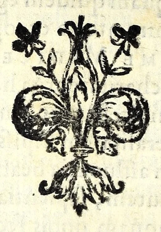 An illustration from Petri Angelii Bargaei Laudatio ad fvnebrem concionem quae Pisis habita est in exequiis Cosmi Medicis magni Hetruriae dvcis, 1574, leaf 28