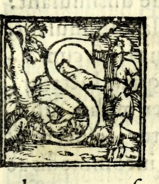 An illustration from Petri Angelii Bargaei Laudatio ad fvnebrem concionem quae Pisis habita est in exequiis Cosmi Medicis magni Hetruriae dvcis, 1574, leaf 7