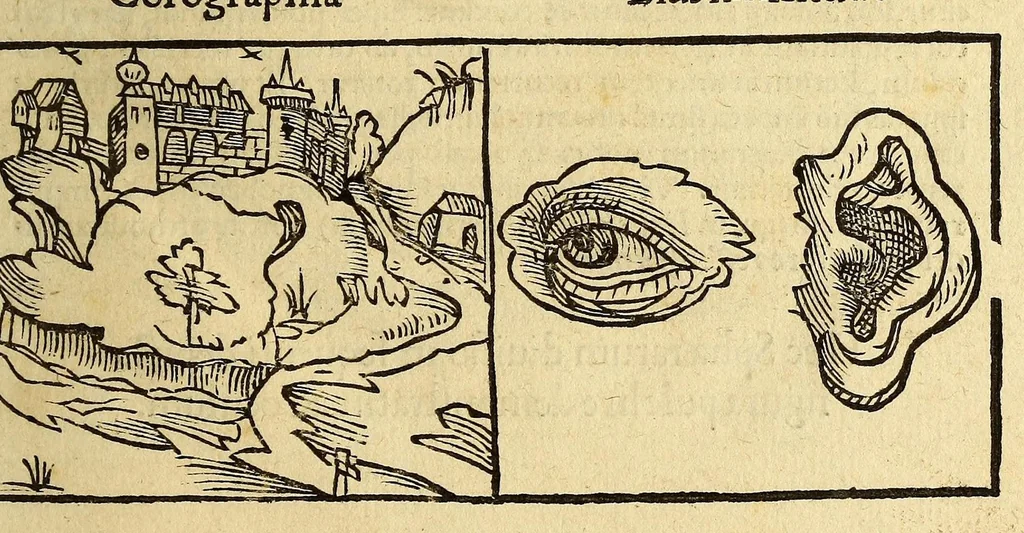 An illustration from Petri Apiani Cosmographia,, 1539, leaf 13