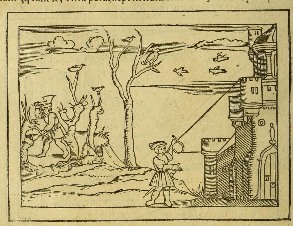 An illustration from Petri Apiani Cosmographia,, 1540, leaf 122