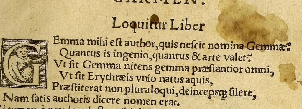 An illustration from Petri Apiani Cosmographia,, 1540, leaf 129