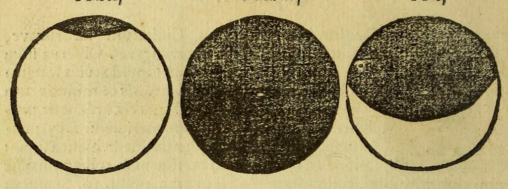 An illustration from Petri Apiani Cosmographia,, 1540, leaf 34