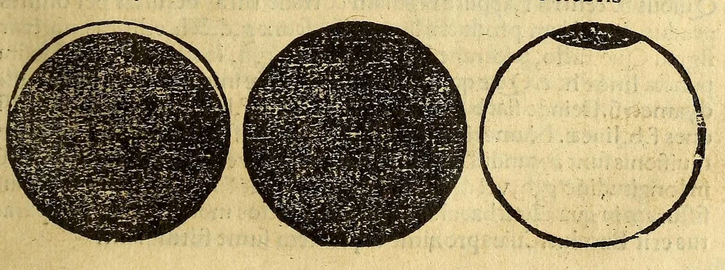 An illustration from Petri Apiani Cosmographia,, 1540, leaf 35