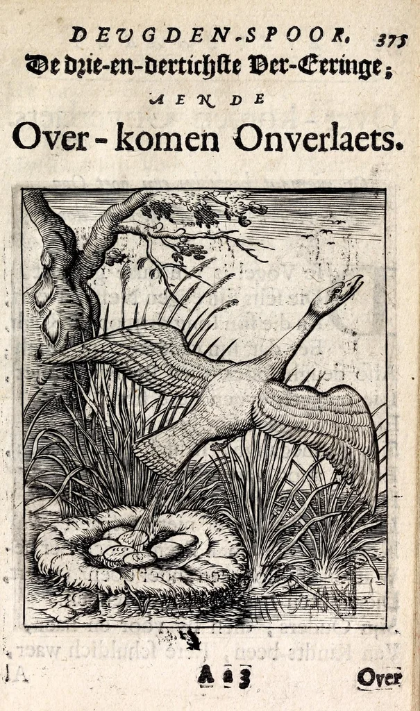 An illustration from Petri Baardt Devgden-spoor in de on-devghden des werelts aff-gebeeldt : op den regel, wat kennr [sic] kan de werelt niet, die door der menschen herte siet?, 1645, leaf 389